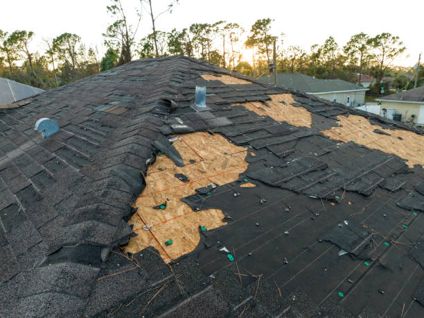 Universal City, TX Roofing service Company